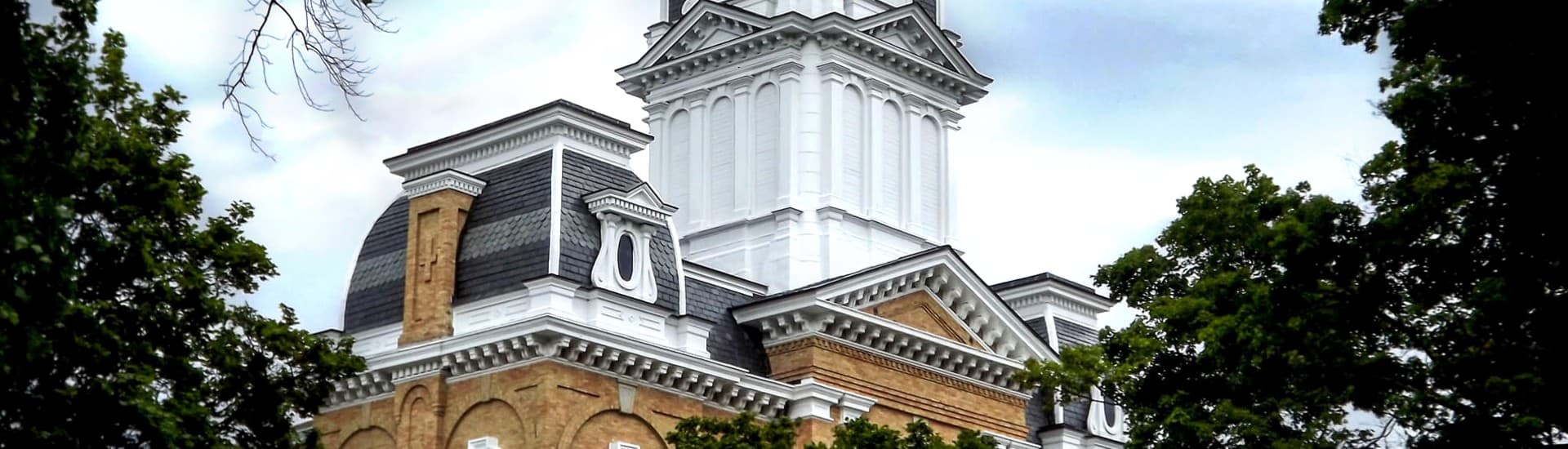 A close-up of the ornate rooftop and tower of a historic building, framed by leaves.