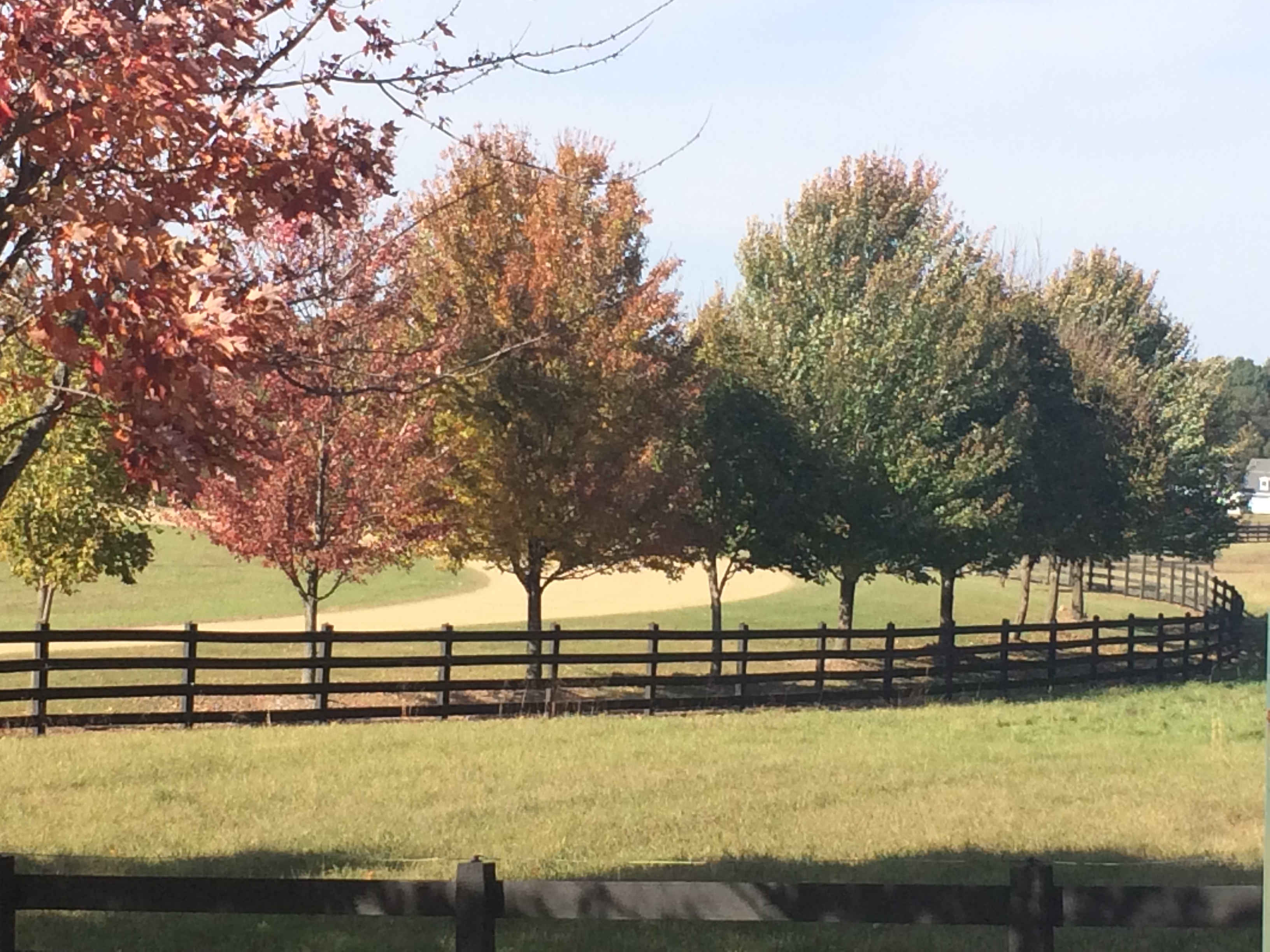 A brown 4 board fence along a dirt road with green grass and trees in various fall colors of red, yellow, orange, and green against a light blue sky