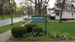 Yellow tulips budding at B&B sign