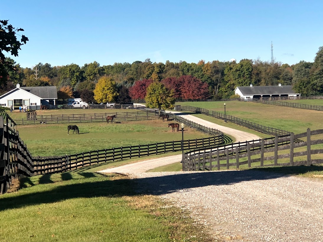 A gravel road winding along a Brown horse fence with a view of pastures with horses and a forest of trees in Fall Colors.