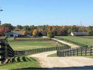 Horse farm in jonesville Michigan in Fall Jonesville Michigan Horse Ranch with brown fence curved road, gray farm buildings, and forest in Fall colors