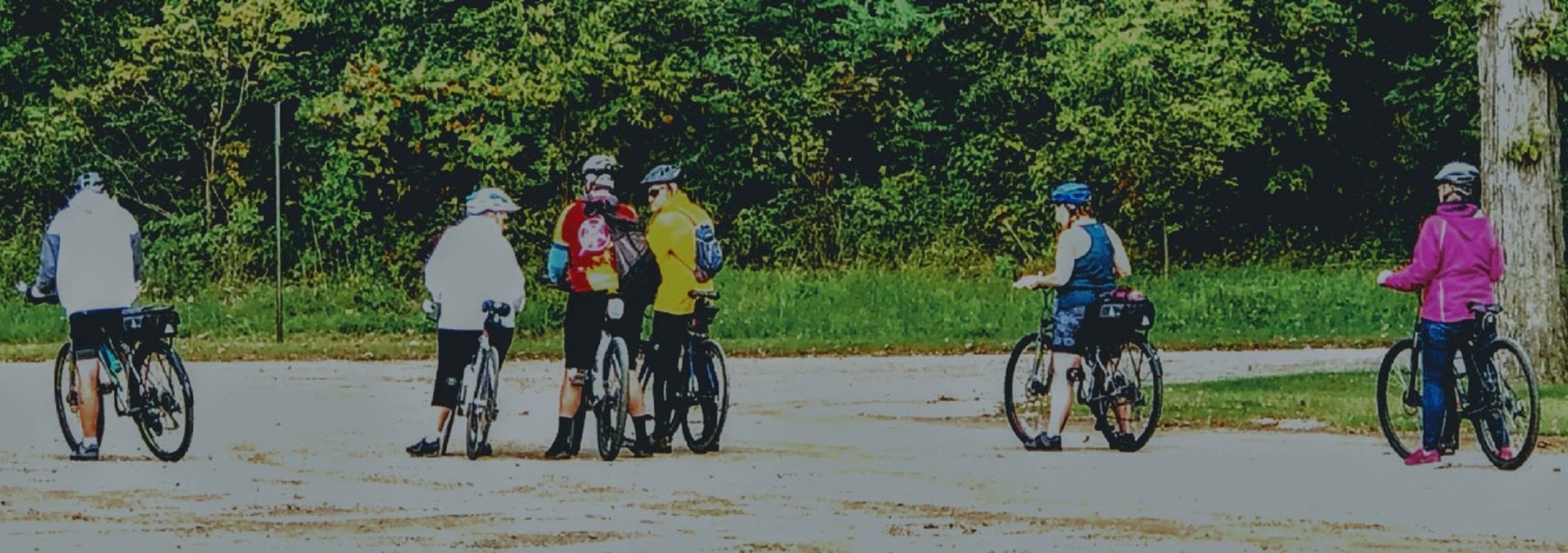 6 people on bicycles approaching a forest of trees