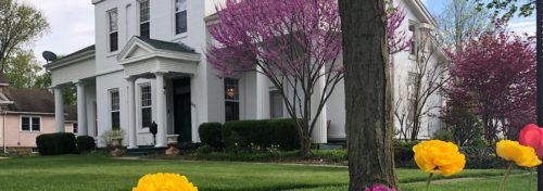 white greek revival style home with red bud trees